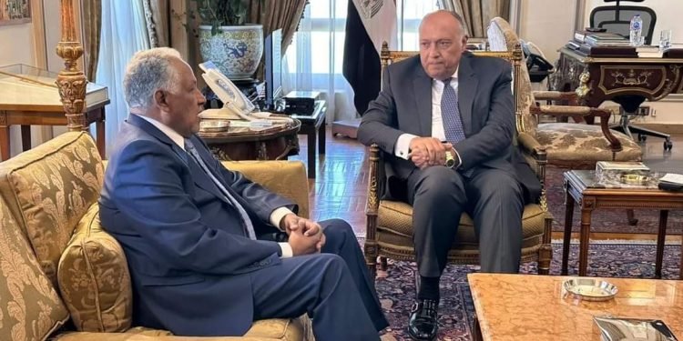 وزير الخارجية يستقبل المبعوث الخاص لرئيس مجلس السيادة السوداني