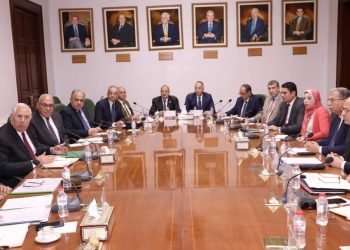 وزير الزراعة : بحث تفعيل الزراعة التعاقدية للمحصول وتحديد سعر ضمان لتشجيع المزارعين