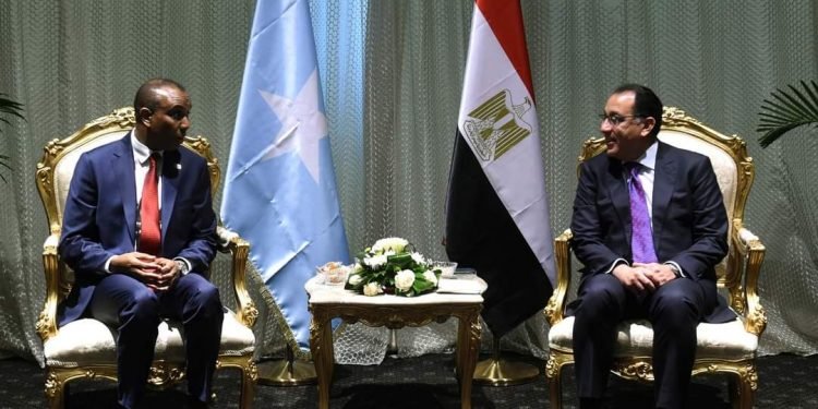 مدبولى يلتقى رئيس وزراء جمهورية الصومال الفيدرالية