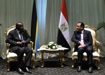 رئيس الوزراء يلتقى نائب رئيسة تنزانيا