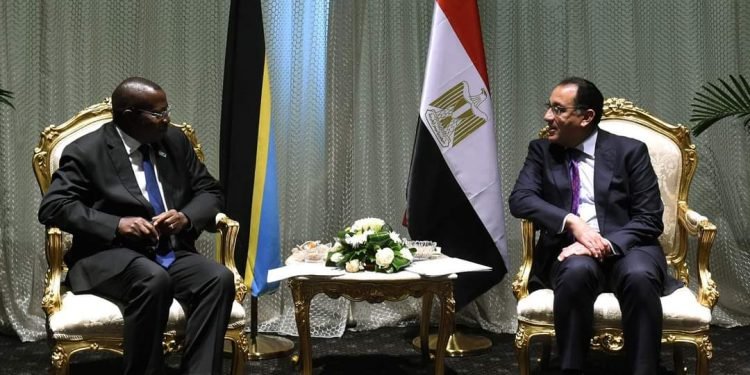 رئيس الوزراء يلتقى نائب رئيسة تنزانيا