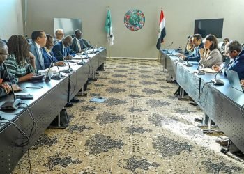 وزيرة التعاون الدولي تعقد جلسة مباحثات ثنائية مع السيد أكينومي أديسينا رئيس مجموعة البنك الأفريقي للتنمية