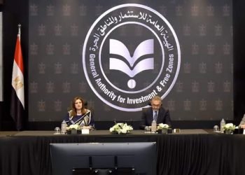 وزيرة الهجرة والرئيس التنفيذي للهيئة العامة للاستثمار والمناطق الحرة يجتمعون بمجموعة النواة لإنشاء شركة المصريين في الخارج