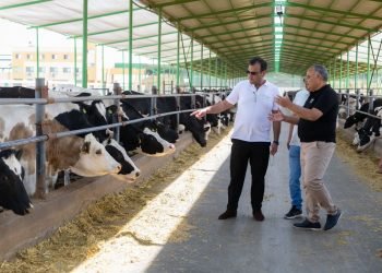 بنك الطعام المصري يعتمد خطة مستقبلية لتوسعات مزرعة “وفرة” بالبحيرة