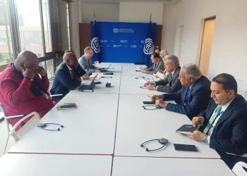 وزير العمل يلتقي مدير عام منظمة العمل الدولية بجنيف .