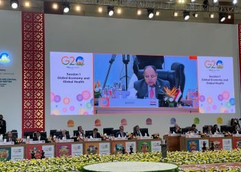 وزير المالية في اجتماعات مجموعة العشرين بالهند : الحراك الاقتصادى العالمى يشهد حالة من التباطؤ الملحوظ