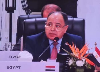 وزير المالية: تطوير الهيكل المالي العالمي.. لتعزيز المسار التنموي وتسريع التعافي الاقتصادي