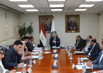 وزير المالية.. في اجتماعه مع اللجنة العليا للاستعداد لاجتماعات البنك الآسيوي:  الترويج للفرص الاستثمارية لجذب التدفقات الأجنبية لمصر