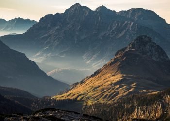 Schneider Electric Sustainability Impact program reaches midterm milestone