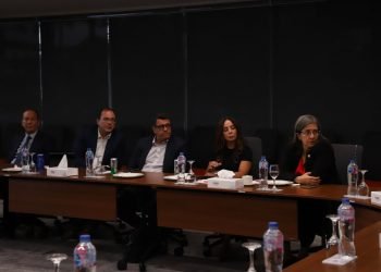 Chapter Zero Egypt holds its third awareness session for Board Members and senior executives on Decarbonization.