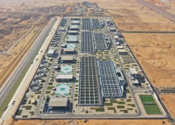 مشروع “الدلتا الجديدة” يحطم أربعة أرقام قياسية في موسوعة جينيس، ويحدث ثورة غير مسبوقة في معايير الزراعة والحفاظ على البيئة