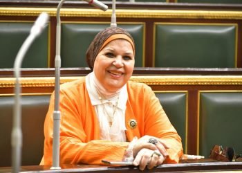 النائبة مايسة عطوة: التحول للغاز الطبيعى يعزز الاستدامة البيئية