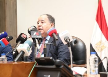 وزير المالية : الدولة تحشد كل قدراتها لاستعادة التعافي والاستقرار الاقتصادي