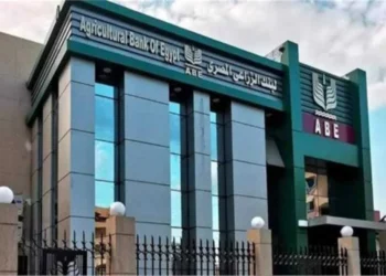 تحرير سعر الصرف سيؤدي لتنشيط الانتاج واستقرار اسعار السلع وتخفيض التضخم