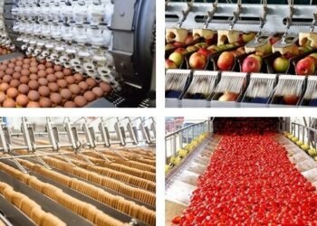 صادرات الصناعات الغذائية تتجاوز المليار دولار في أول شهرين من عام 2024 بنسبة نمو 35%