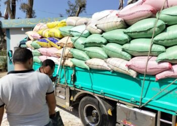 البنك الزراعي المصري يبدأ استلام محصول القمح من المزارعين والموردين في 190 موقع على مستوى الجمهورية