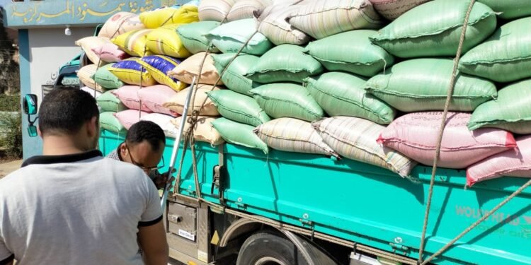 البنك الزراعي المصري يبدأ استلام محصول القمح من المزارعين والموردين في 190 موقع على مستوى الجمهورية