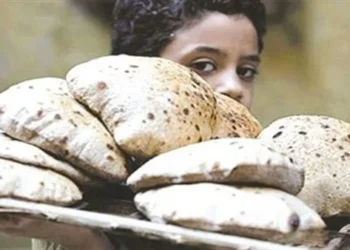 بعد رفع سعر الرغيف المدعم .. تعرف عن نسب الدعم والفوائد في الموازنة الجديدة