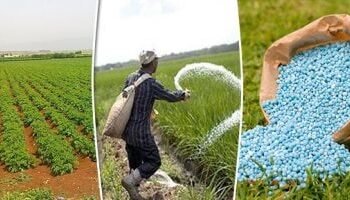 4 شركات أسمدة تتوقف عن الانتاج .. ما المصير ؟  شريف الجبلي : الأزمة كبيرة والحكومة اتخذت اجراءات فورية وانفراجة مطلع يوليو