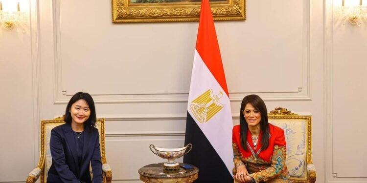 وزيرة التعاون الدولي تبحث مع مسئولي الوكالة الصينية للتعاون الإنمائي الدولي تفعيل مذكرة التفاهم المشتركة حول مبادرة الديون