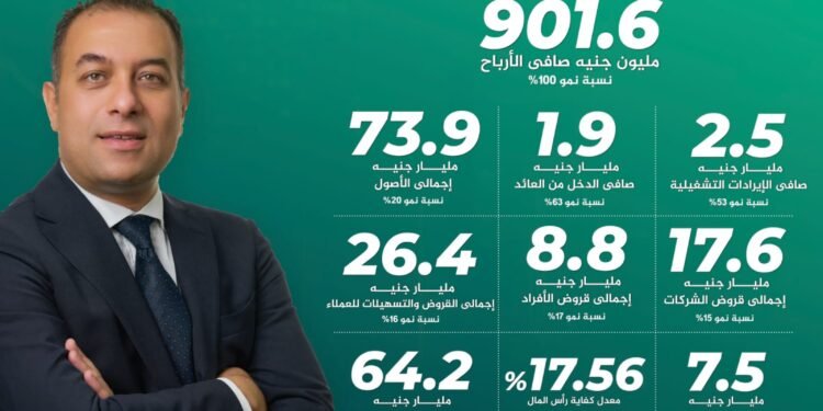 بنك الاستثمار العربي يحقق صافي ربح 901.6 مليون جنيه خلال النصف الأول.