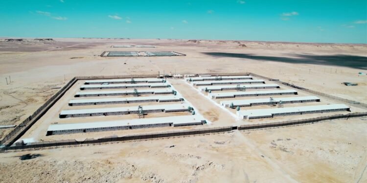 كايرو ثري ايه ” تواصل تعزيز صناعة الدواجن.. الشركة تنجح فى ايجاد حلول بديلة لمواجه تحديات الطاقة