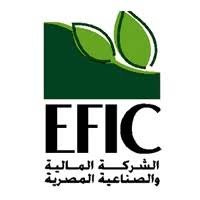 ارتفاع أرباح المالية والصناعية المصرية بنسبة 81.14%، على أساس سنوي.