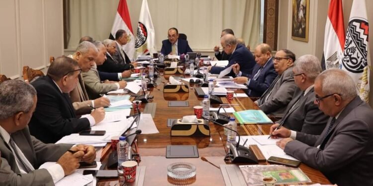 وزير قطاع الأعمال العام يتابع خطط العمل التنفيذية لشركات “القابضة الكيماوية” ويناقش فرص الاستثمار