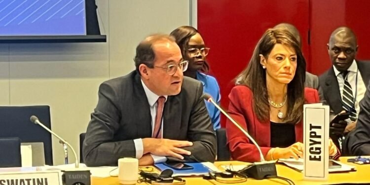 وزير المالية :  ٣ أولويات لتعزيز البنية المالية الإفريقية في مواجهة التحديات العالمية