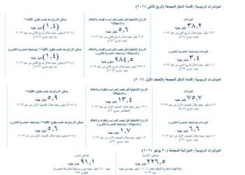 ارتفاع إيرادات القلعة للاستثمارات المالية بمعدل سنوي 64% لتبلغ 38.2 مليار جنيه.