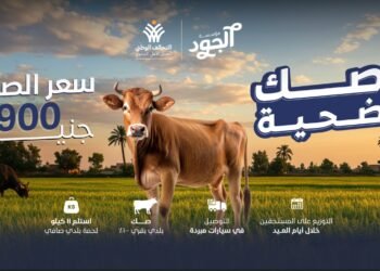 مؤسسة الجود تطلق صك الأضحية وتستهدف أكبر عدد من الأسر الأكثر استحقاقًا في محافظات الصعيد