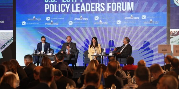 وزير المالية خلال منتدى «قادة السياسات بين مصر وأمريكا»:  تنسيق بين محاور وإصلاحات السياسات الاقتصادية لضمان تنافسية الاقتصاد