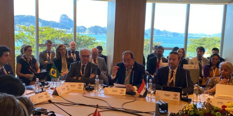 وزير المالية : نتطلع إلى دور أكبر لـ «البريكس» فى إيجاد حلول مبتكرة لأزمة الديون العالمية