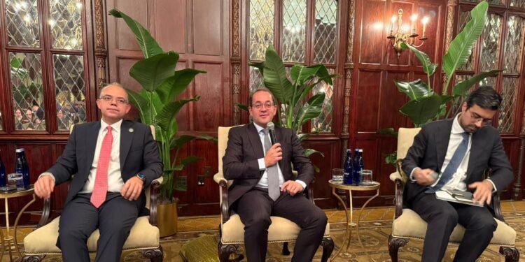 كجوك لمستثمرين دوليين ببنك «ستاندرد تشارترد» و«سيتي بنك»:  الاقتصاد المصرى.. يتحسن وينمو بتزايد ثقة المستثمرين