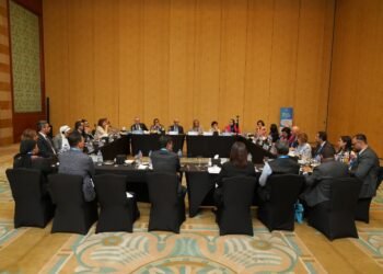 جلسة حوارية مصرية – هندية تمهد للمشاركة في قمة الذكاء الاصطناعي بالهند فبراير