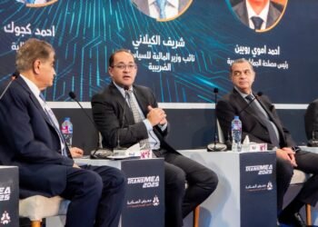 وزير المالية:النشاط الاقتصادي يسير فى اتجاه إيجابي.. والاستثمارات الخاصة تنمو بنسبة ٧٣٪