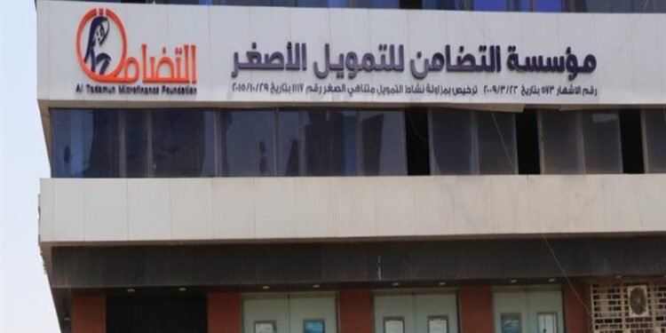 مؤسسة التضامن للتمويل الأصغر تتفق مع البنك الأهلي المصري على زيادة التسهيلات الائتمانية لـ 700 مليون جنيه