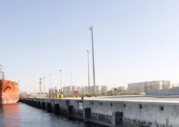 دي بي ورلد” تُركّب أوّل 1,000 لوح من الهياكل البحرية الحيّة في ميناء جبل علي