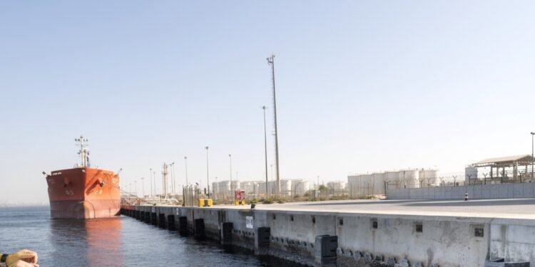 دي بي ورلد” تُركّب أوّل 1,000 لوح من الهياكل البحرية الحيّة في ميناء جبل علي