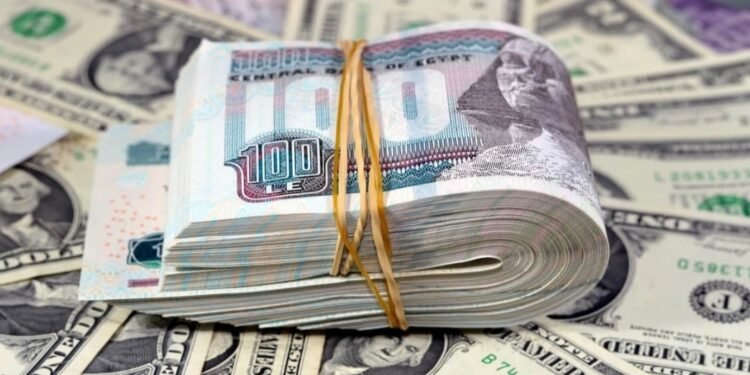 استقرار نسبي في أسعار العملات بالبنوك المصرية