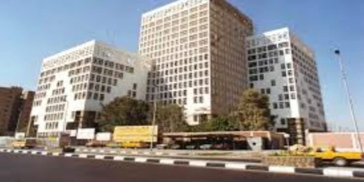 وزارة المالية تطرح عطاءات دين محلية بـ190 مليار جنيه في أول أسبوع من 2026