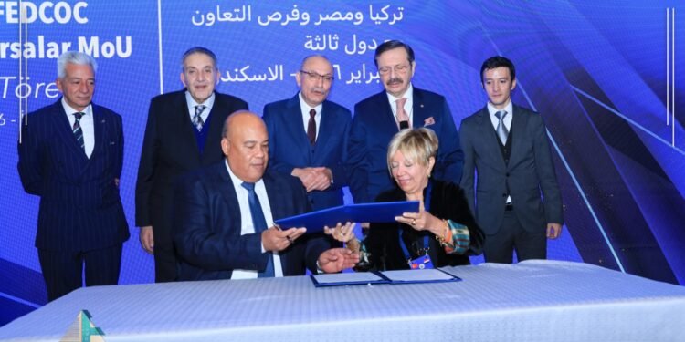 وزير المالية : القدرات الاقتصادية في مصر وتركيا متنوعة.. ونسعى إلى تكامل يسمح بالتصنيع المشترك والتصدير للأسواق العالمية 