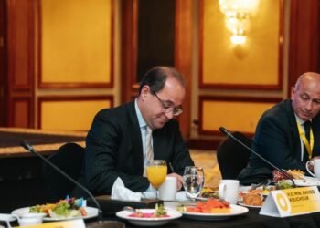 وزير المالية : نتحرك بقوة لرفع كفاءة استخدام الطاقة بالاقتصاد المصري والتوسع فى الطاقات الجديدة والمتجددة