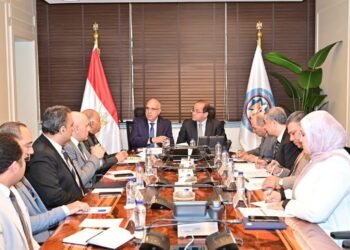 وزيرا المالية والموارد المائية والري يبحثان تمويل مشروعات التحول إلى أنظمة الري الحديث