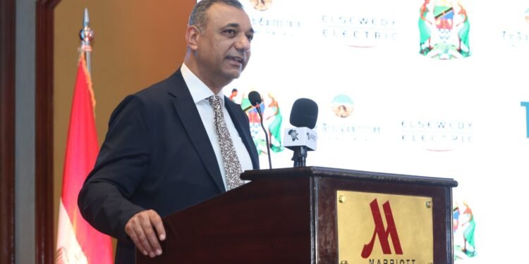 مشروعات السويدي إليكتريك في تنزانيا تعزز الشراكة المصرية الأفريقية وتدعم التنمية المستدامة