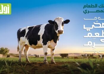 بنك الطعام المصري يطلق حملة “ضحي أطعم أكرم” لدعم الأسر الأكثر احتياجًا خلال عيد الأضحى