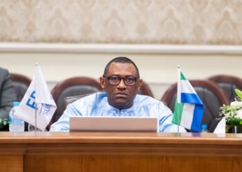 FDC Summit تمهّد لإعداد «وثيقة القاهرة للثقة والتكامل الرقمي الأفريقي»